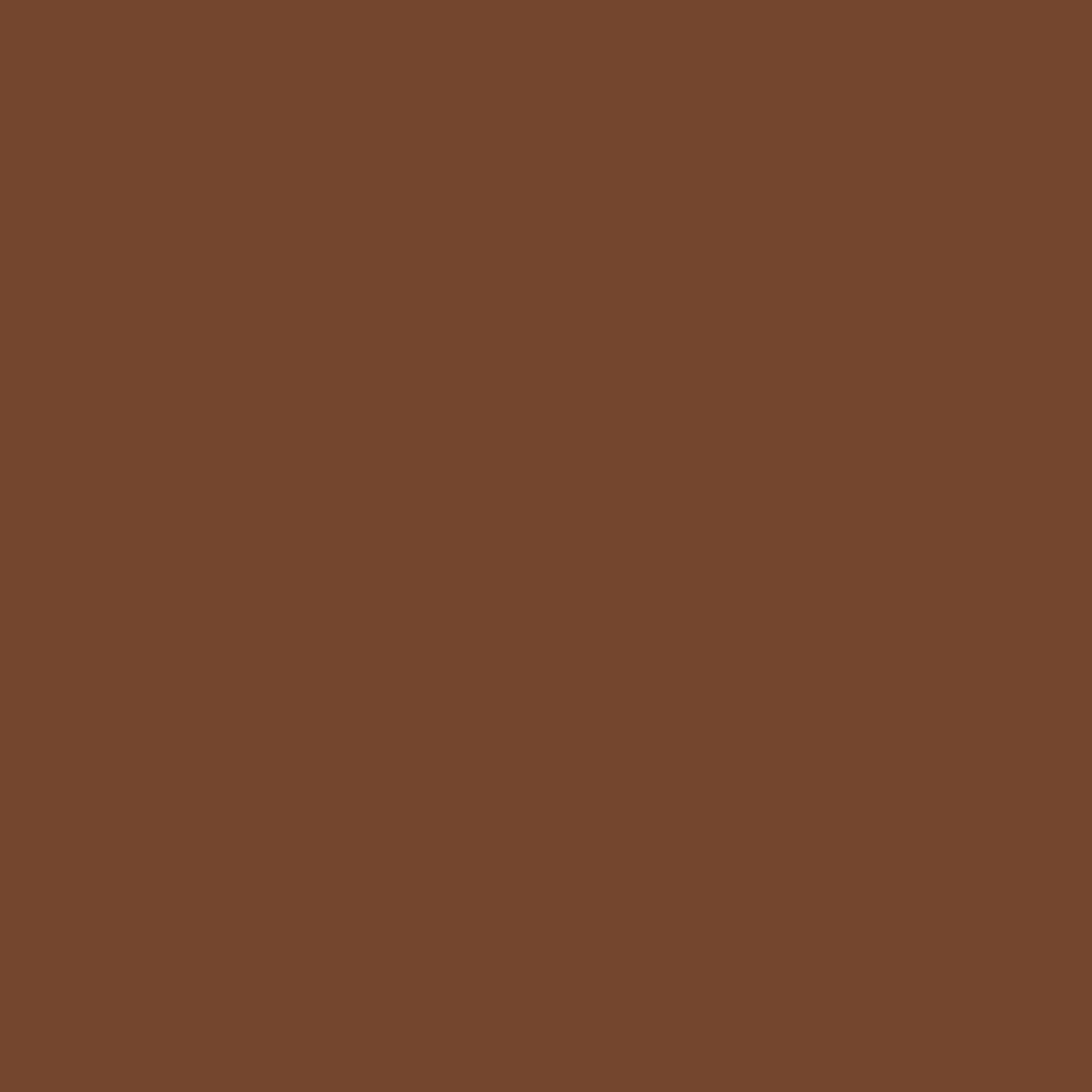 Swatch · Earthy Sepia · échantillon de la teinte