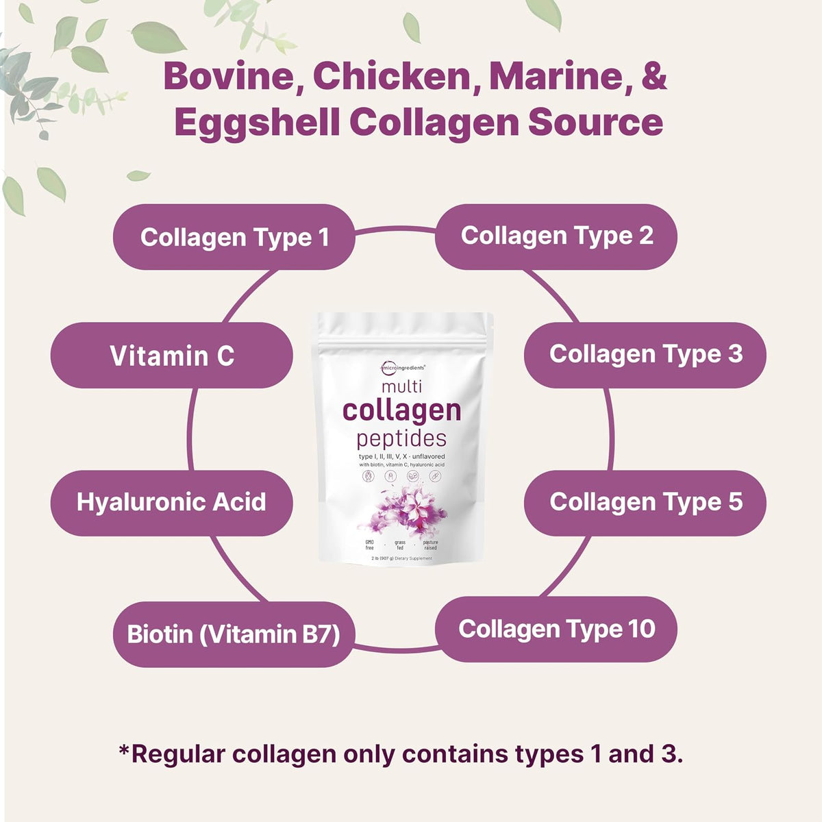 Micro Ingredients collagène multi-types + biotine, 907 g