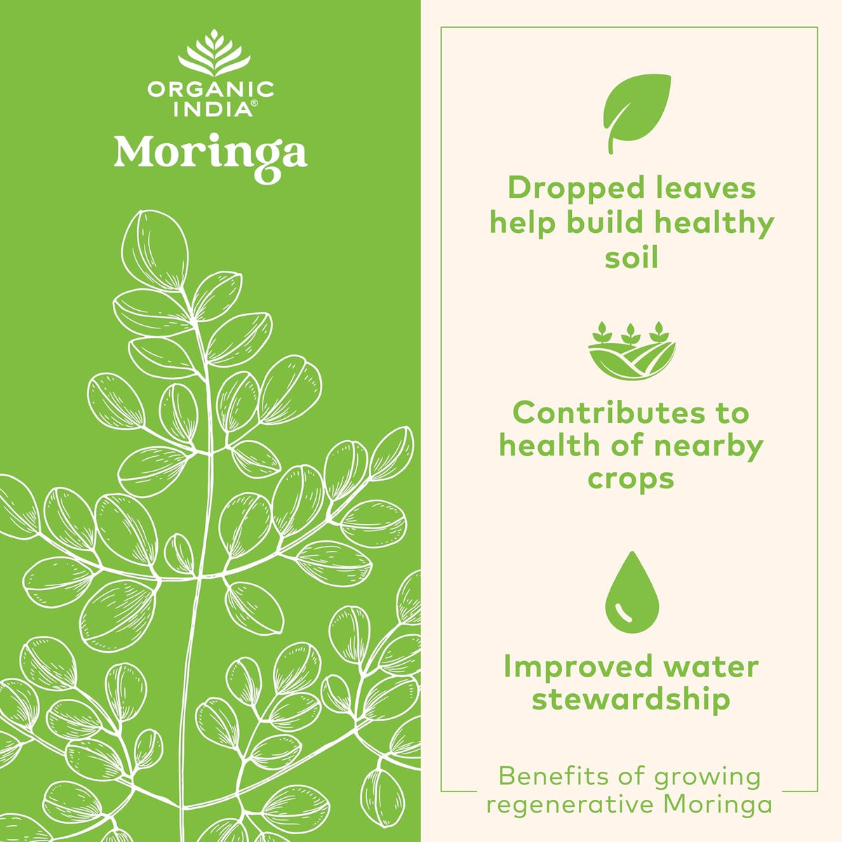 Organic India moringa bio, gélules