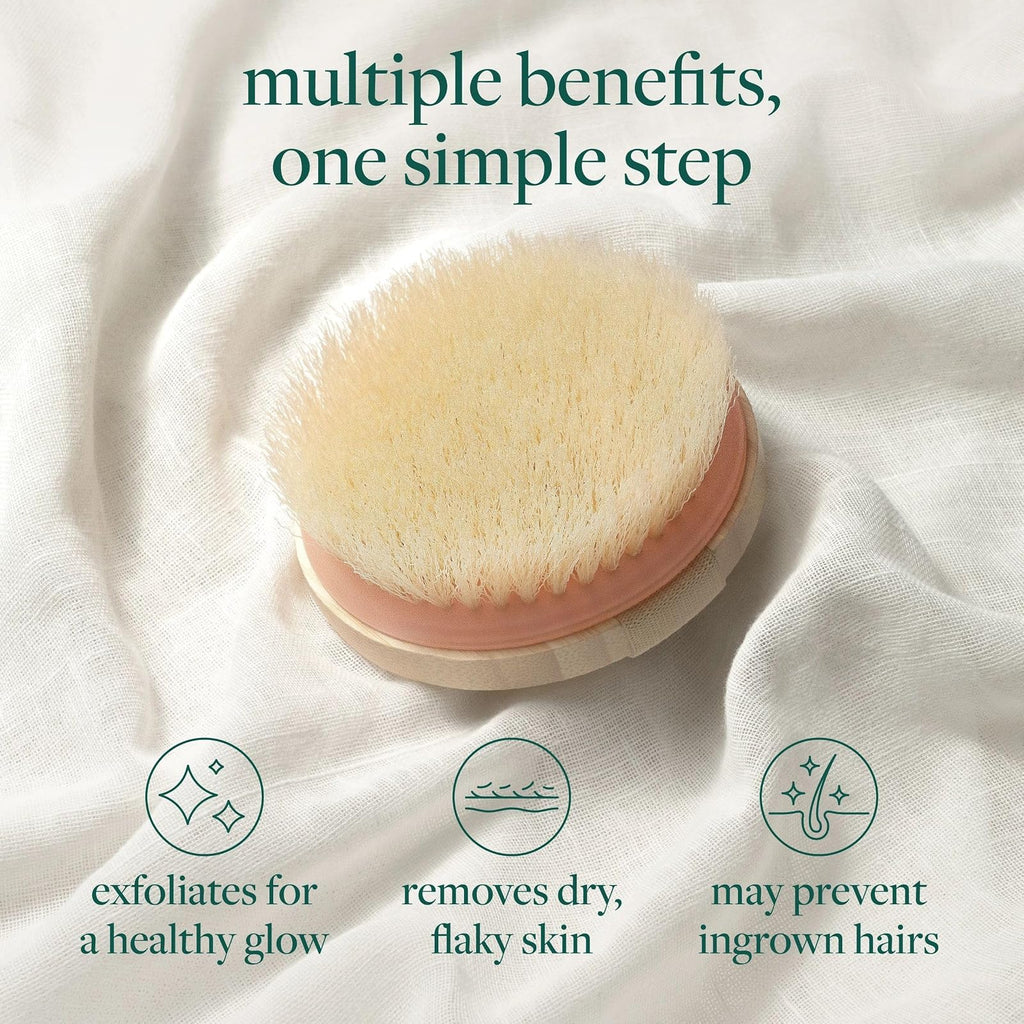 EcoTools brosse corps pour brossage à sec