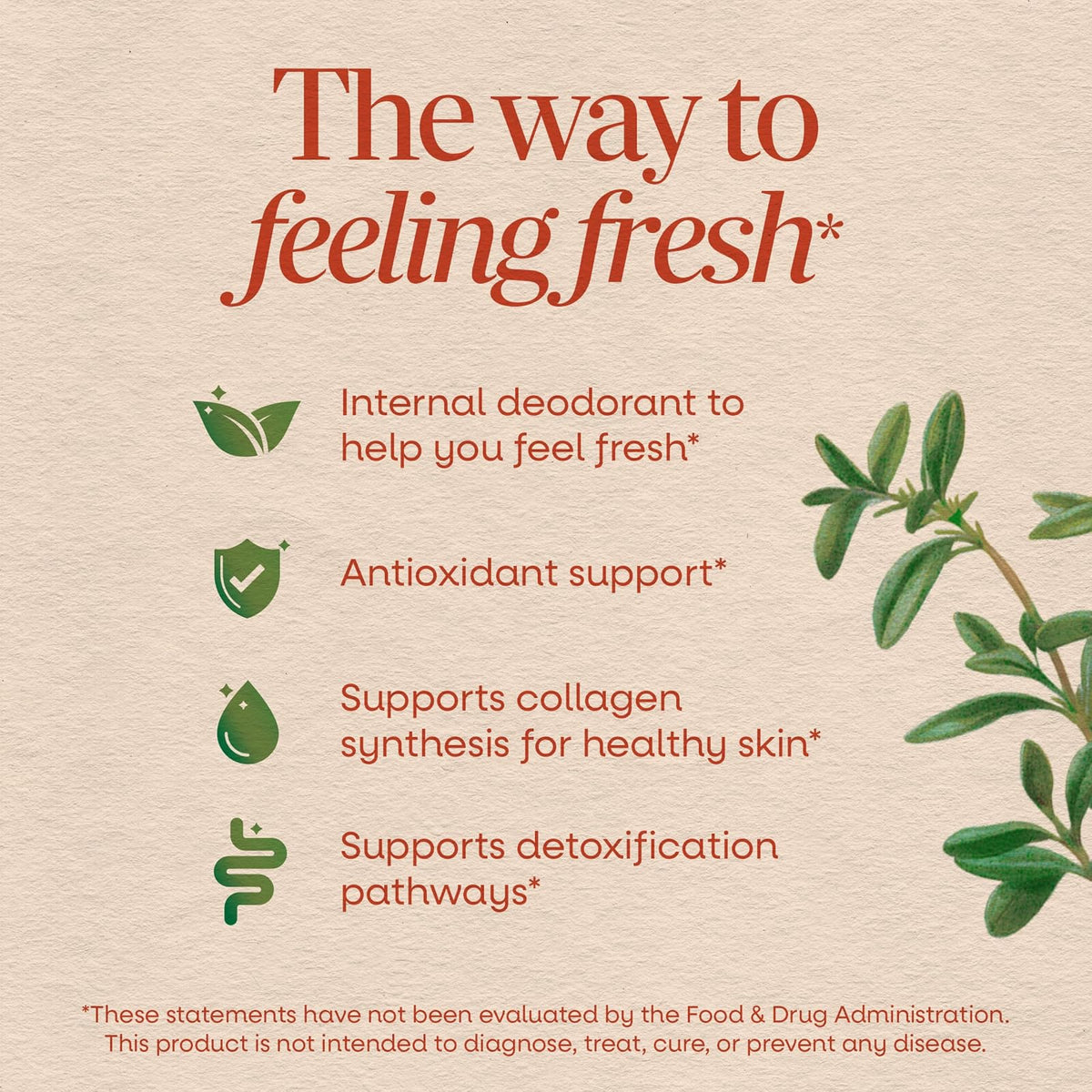 Nature's Way Chlorofresh chlorophylle menthe