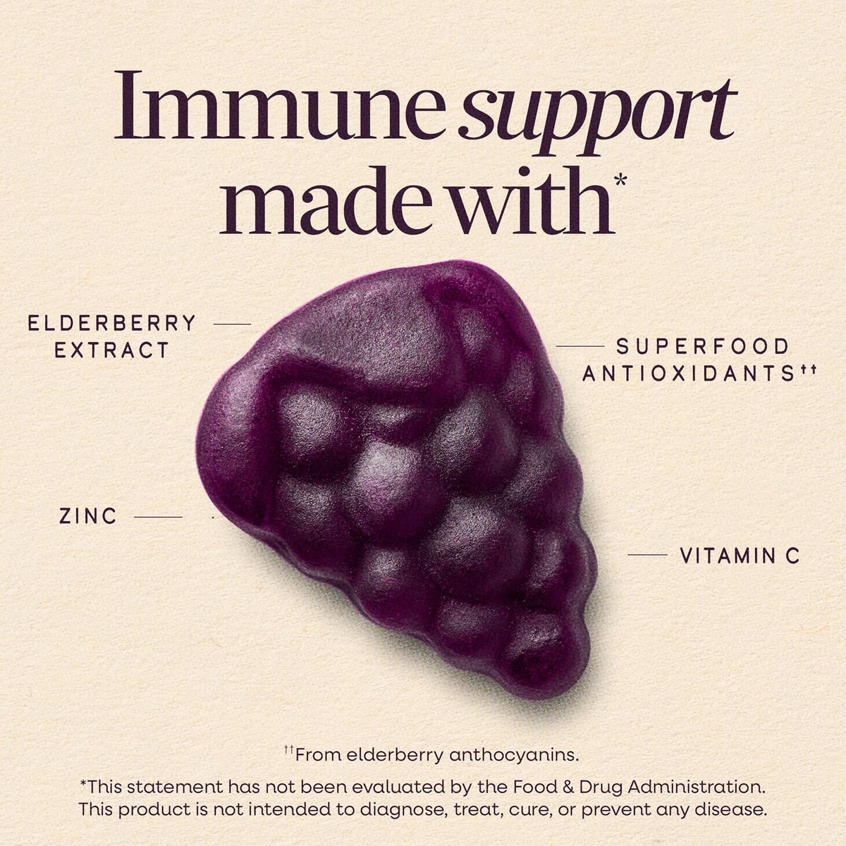 Nature's Way Sambucus gommes au sureau enfants avec zinc, vitamines C et D3, 60 gommes